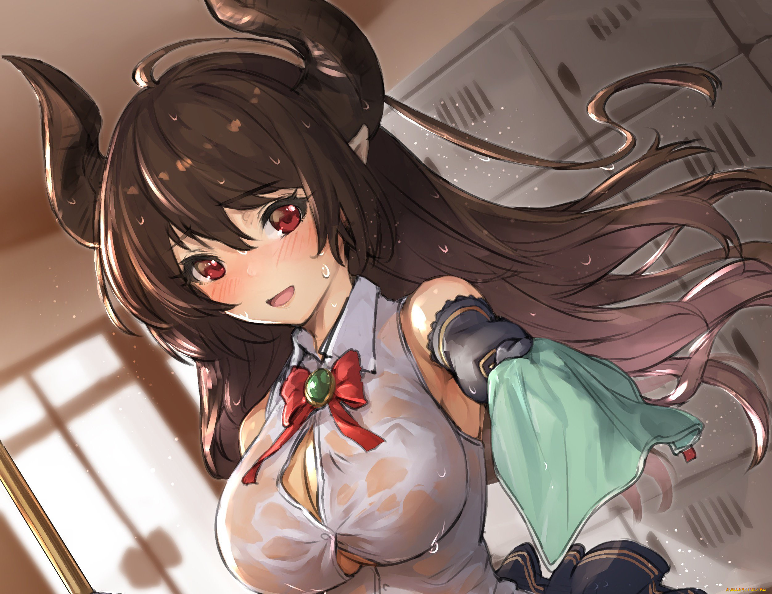 , shingeki no bahamut, 